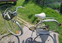 Damenfahrrad Fahrrad Brandenburg - Sonnewalde Vorschau