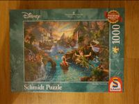 OVP Schmidt Puzzle Disney Peter Pan 1000 Teile / Thomas Kinkade Hessen - Brensbach Vorschau