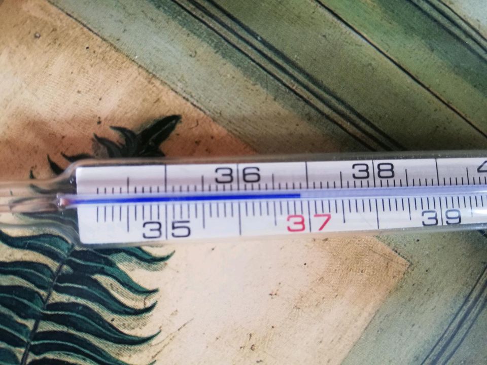 Vintage Fieberthermometer aus Glas mit Hülle -- €10 in Berlin