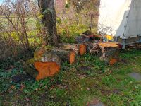 Holz Kirschbaum zu verkaufen Bayern - Haimhausen Vorschau