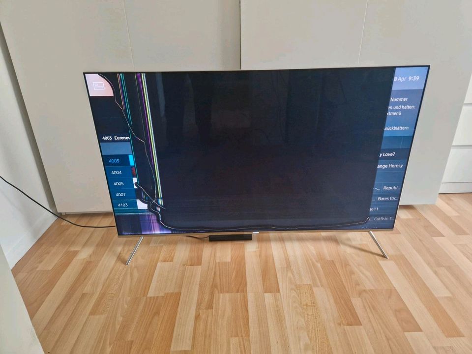 Samsung TV für Bastler defektes Bild in Langenhagen