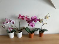 Kunstblumen Orchideen weiß pink Neumünster - Padenstedt Vorschau