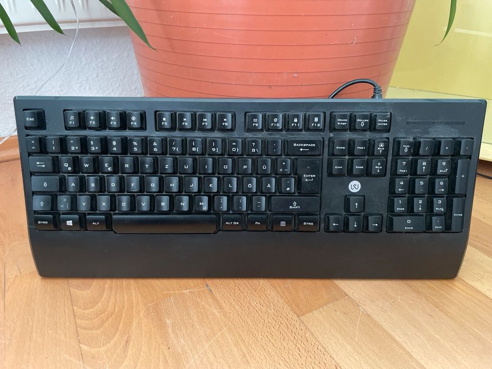 RGB Gaming Tastatur in Caputh