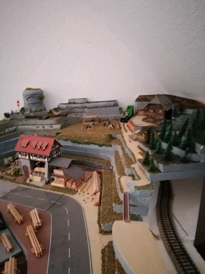 Abgebaute Modelleisenbahn-Landschaft in Lauenburg