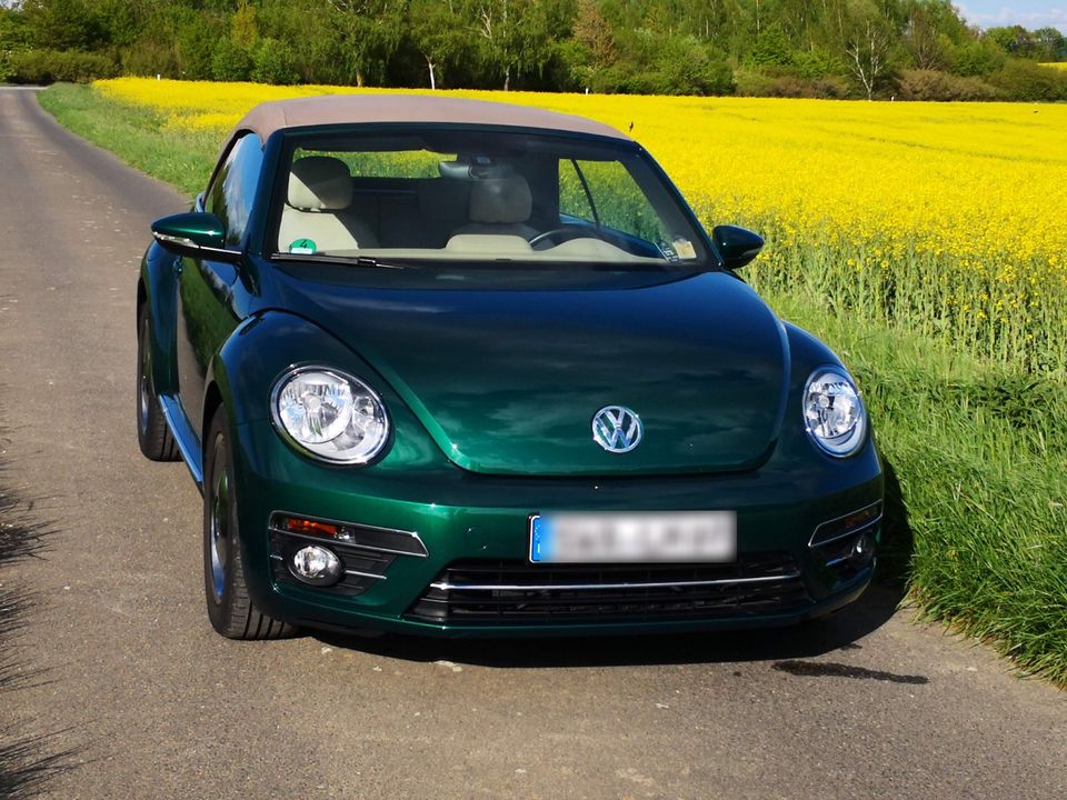 Beetle Cabriolet 1.2 TSI DSG Blue Motion Tec in Taunusstein