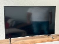 Samsung tv 49 zoll Nordrhein-Westfalen - Leverkusen Vorschau