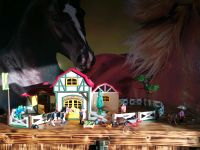 Playmobil Großer Reiterhof Sachsen - Bautzen Vorschau