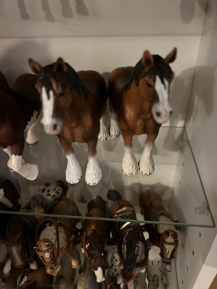 Schleich kaltblüter 15€ in Ziegelroda