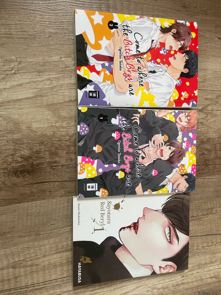 Yaoi ( boys love) mangas in Rosche