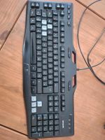 Logitech G105 Niedersachsen - Wilhelmshaven Vorschau