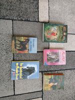 Kinderbücher set/einzeln Rheinland-Pfalz - Norheim Vorschau