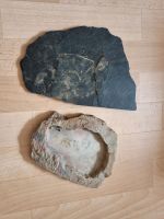 Steine, Trinkgefäß für Terrarium Hessen - Dreieich Vorschau