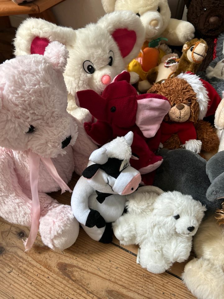 Diverse Kuscheltiere Plüschtiere Teddybären Teddys in Michendorf