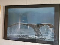 Fotoposter Walflosse mit schwarzem Rahmen Nordrhein-Westfalen - Lemgo Vorschau