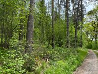 Verkauf 1,5ha Wald nähe Heilsbronn Bayern - Rohr Mittelfr. Vorschau