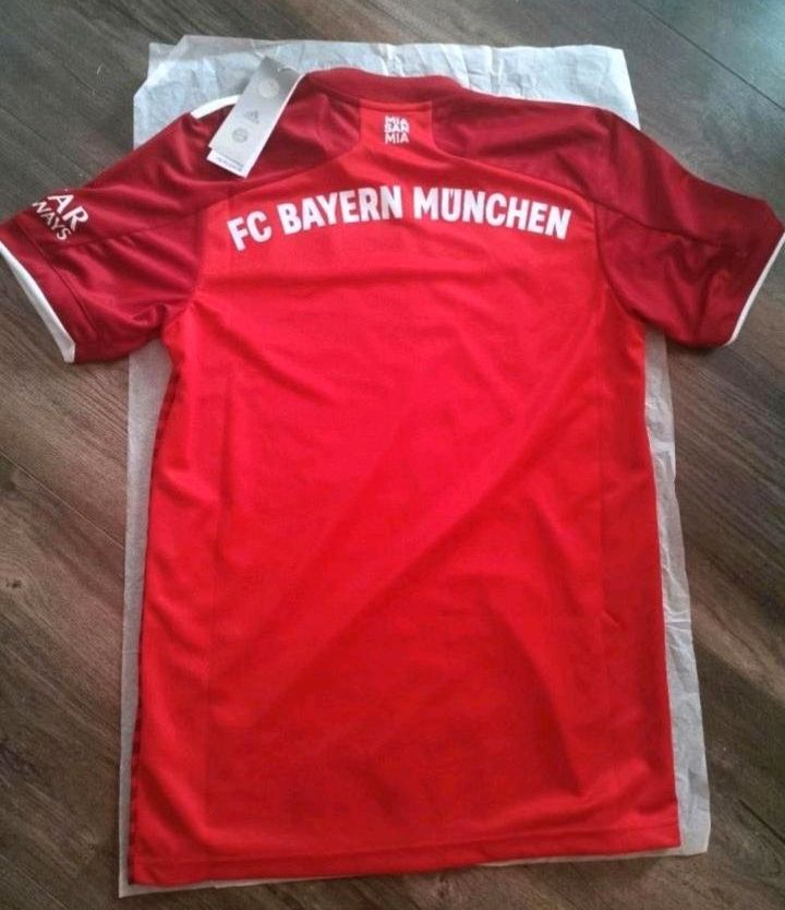 FC Bayern München Fan Trikot in Lehesten Thürw