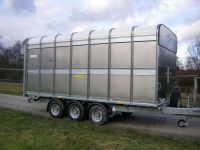 Ifor Williams Viehanhänger DP120T 14x6 Maße 434x189x182 Hochlader Bayern - Pöttmes Vorschau