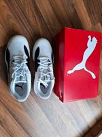PUMA Eliminate Pro II  Neu OVP Handballschuhe  Gr.40 Sachsen - Großröhrsdorf Vorschau