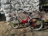 Noxon Kinderfahrrad Hessen - Bad Homburg Vorschau