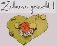 Familie sucht Haus / Wohnung zur Miete Duisburg - Duisburg-Süd Vorschau