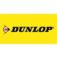 2x Sommerreifen Dunlop Sport Maxx TT 245/50 R18 100W auf Lager Nordrhein-Westfalen - Dorsten Vorschau
