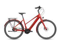 E-Bike Grecos Eli 2.3 reduziert von 3699€ auf 3199€ RH 55 cm Niedersachsen - Großenkneten Vorschau