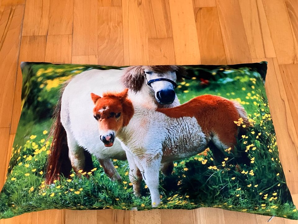 Pferdekissen,Kuschelkissen,Kopfkissen für Pferdefreunde in Dresden