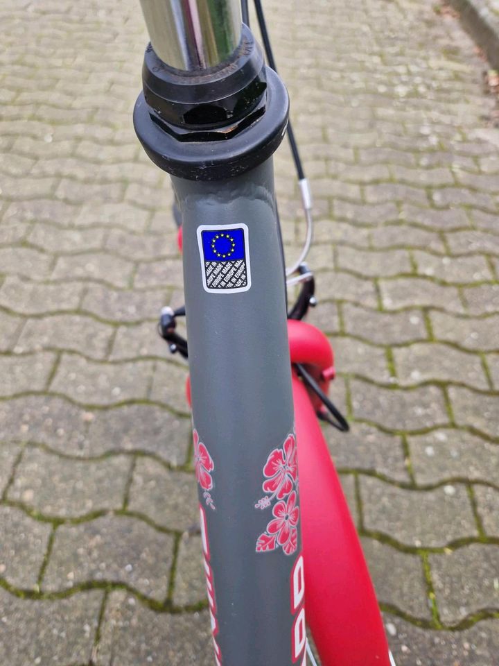 Damen Fahrrad "Zündapp" in Espelkamp