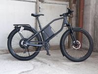 X Power "M" Klever E Bike Pedelec 25 km/h Niedersachsen - Braunschweig Vorschau