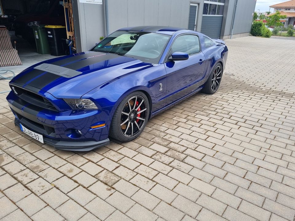 Shelby GT 500 5.8 L. Baujahr 2014 blau in Erligheim