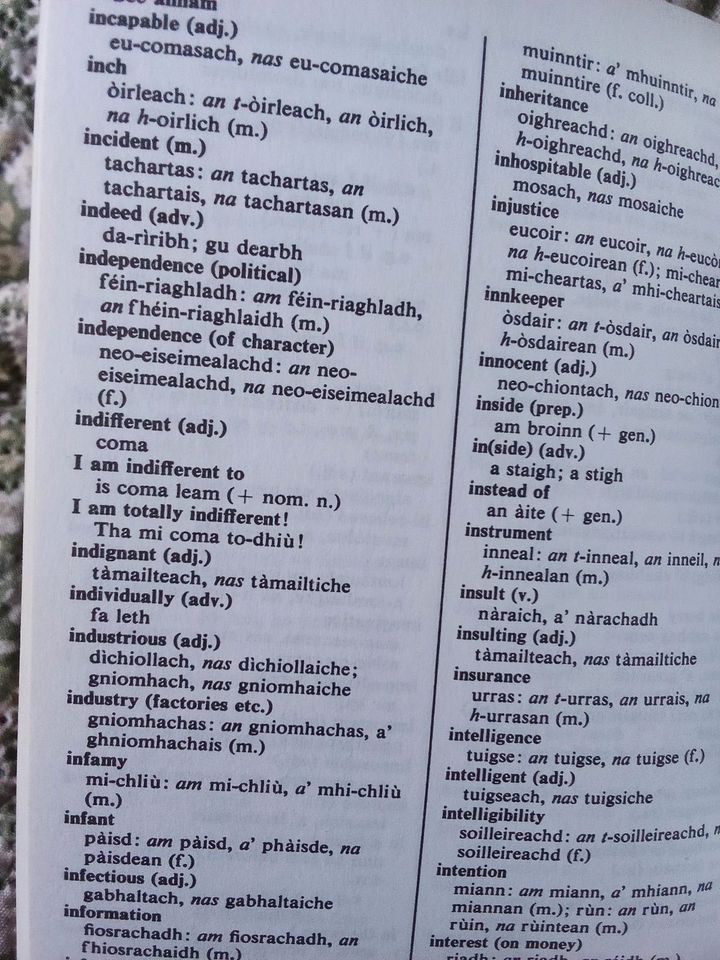 Wörterbuch Dictionary english/gaelic und umgekehrt in Bielefeld