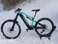 E-Bike Mod. Puma JUNGBIKE Carbonrahmen Motor 750W 146NM Lichtentanne - Schönfels Gem Lichtentanne Vorschau