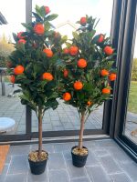Mandarinenbaum künstlich sehr naturgetreu neuwertig 2 Stück Niedersachsen - Varel Vorschau