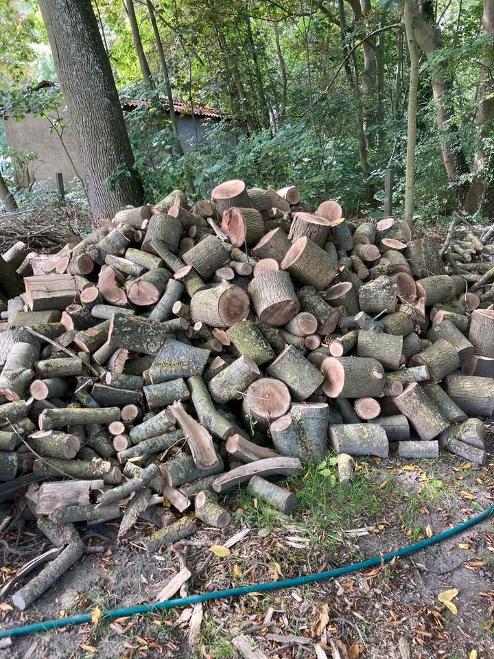 Brennholz zu verkaufen in Loissin