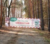 Brennholz selbst schlagen, im PEFC zertifizierten Wald Brandenburg - Bad Liebenwerda Vorschau