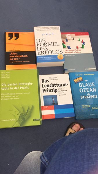 6 Managem Bücher: Erfolg, Strategietools, b. Ozean, Leuchtturm in Bad Homburg