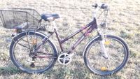 Damen Mädchen Fahrrad 26zoll 21gang top Neuhausen-Nymphenburg - Neuhausen Vorschau