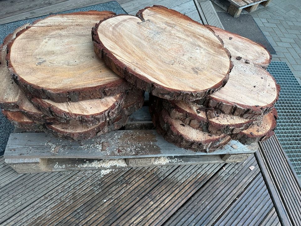 Baumscheiben 40- 50 cm Deko Holz Baum in Oschersleben