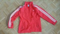 Adidas essentials climate Jacke 44s Sachsen - Moritzburg Vorschau