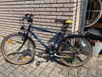 Diverse Fahrräder, Mountainbike, Damenfahrrad, Herrenfahrrad Hessen - Fuldatal Vorschau