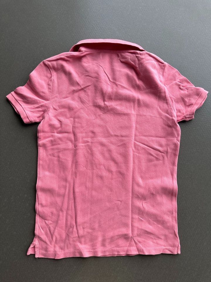 Poloshirt Shirt Zara rosa Gr. 152 in Bischberg