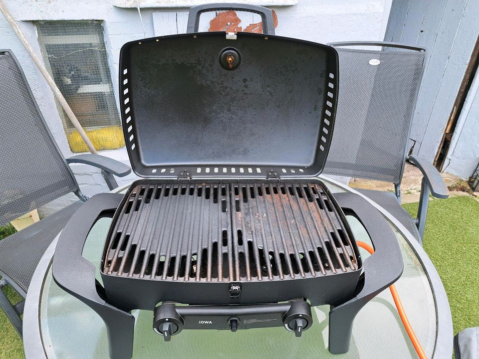 Grill Camping Gasgrill in Alpen