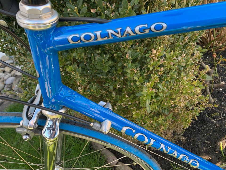 Colnago Master Rennrad für Sammler in Kressbronn am Bodensee