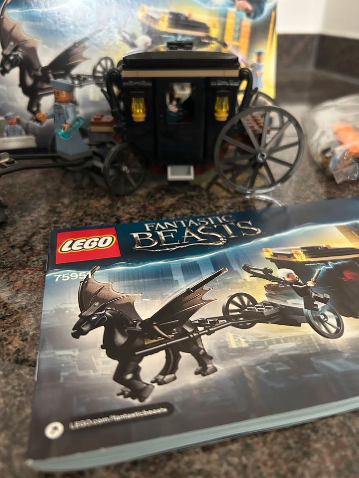 Lego Fantastic Beasts Grindelwald's Escape harry Potter in Beelen