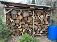 Brennen Holz, verschiedene Holz Rheinland-Pfalz - Heßheim Vorschau