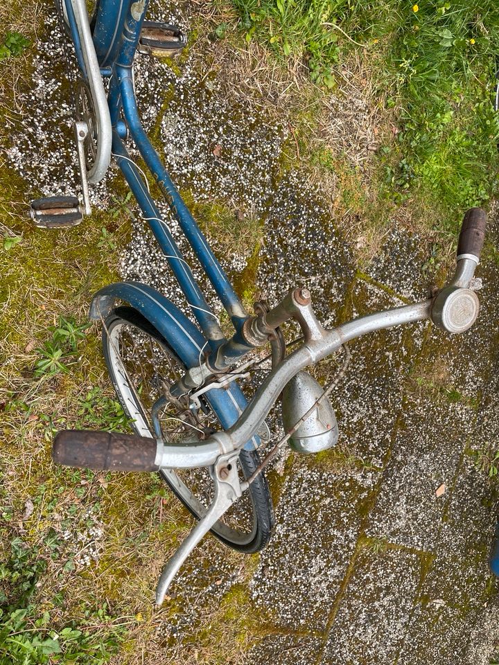 Bauer Werke Fahrrad Damenrad alt antik Oldtimer Rarität 1950er in Lauingen a.d. Donau