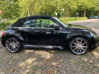 Volkswagen Beetle Cabrio EXKLUSIVE Rheinland-Pfalz - Haßloch Vorschau
