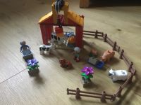 LEGO Duplo Ville Kleiner Bauernhof 4686 Hessen - Bensheim Vorschau