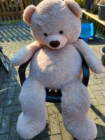Großer Teddybär Niedersachsen - Bad Zwischenahn Vorschau