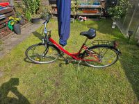 Damenfahrrad 28zoll Duisburg - Meiderich/Beeck Vorschau